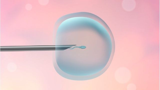 hong kong egg freezing services