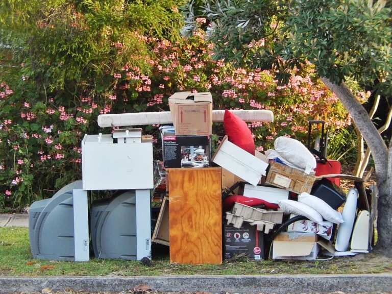 Top Reasons to Select Bellevue, WA Professional Junk Removal Services