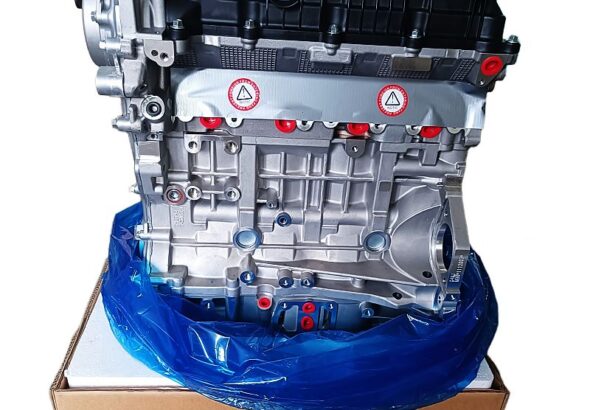 Petrol Long Engine